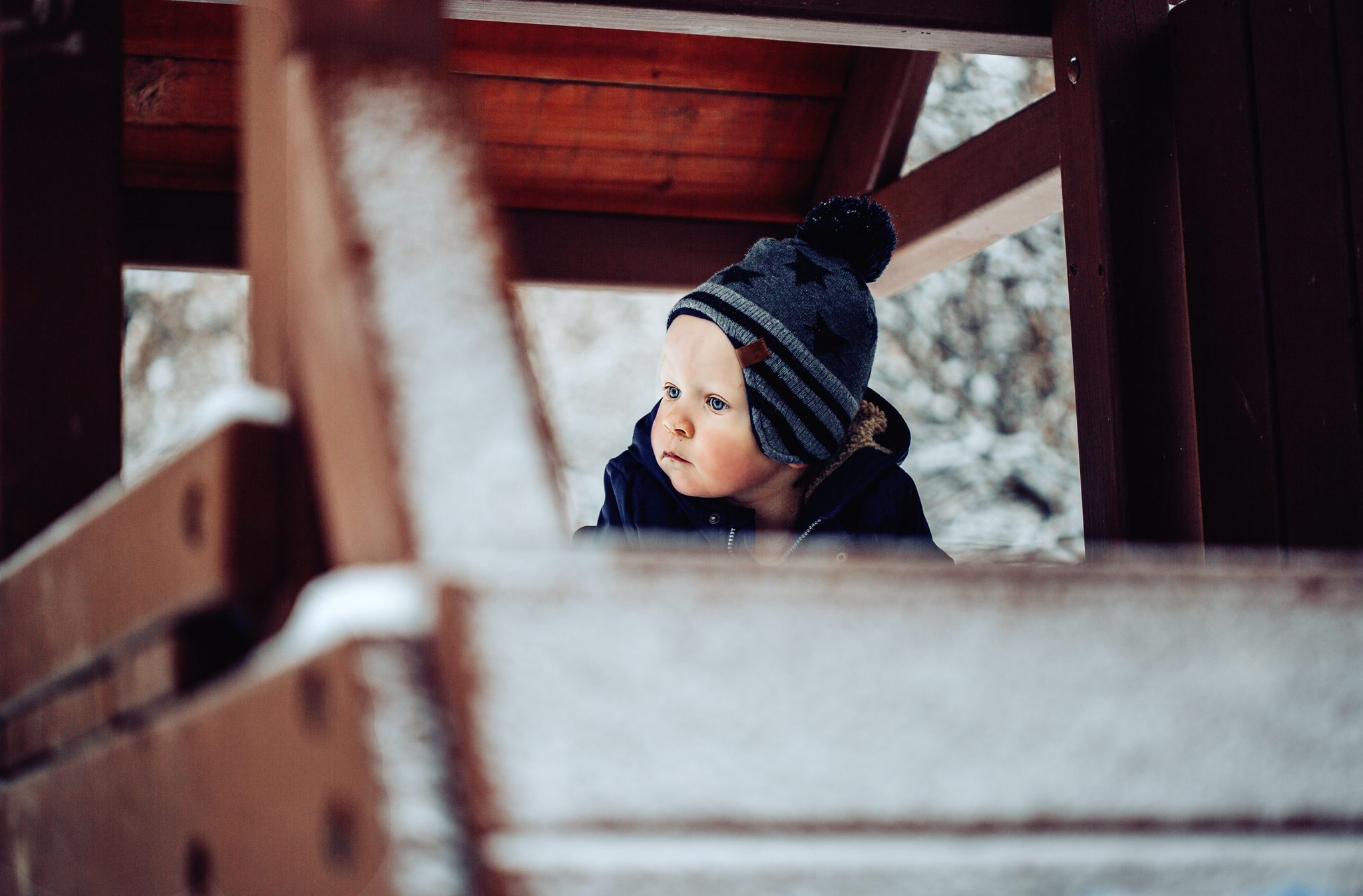 little boy in tree house during a snow storm