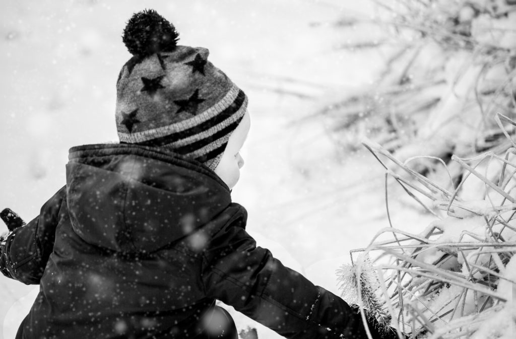 baby playing with plants in the snow